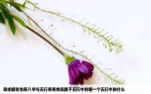 恳求解答生辰八字与五行看看他是属于五行中的哪一个五行中缺什么