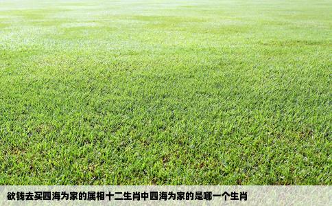 欲钱去买四海为家的属相十二生肖中四海为家的是哪一个生肖