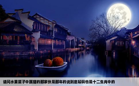 请问水果篮子中属猫的那家伙是那年的说到底起码也是十二生肖中的