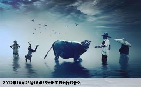 2012年10月23号18点35分出生的五行缺什么