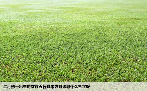 二月初十出生的女孩五行缺木姓刘该取什么名字好