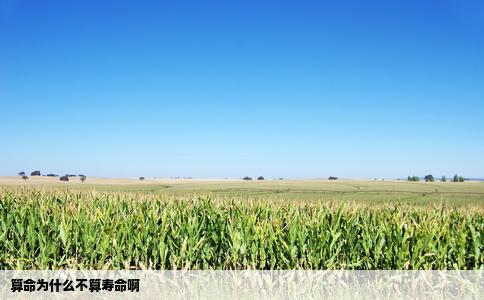 算命为什么不算寿命啊