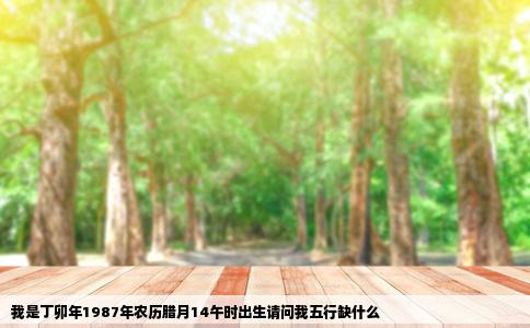 我是丁卯年1987年农历腊月14午时出生请问我五行缺什么