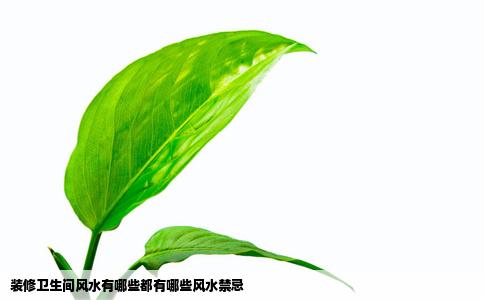 装修卫生间风水有哪些都有哪些风水禁忌