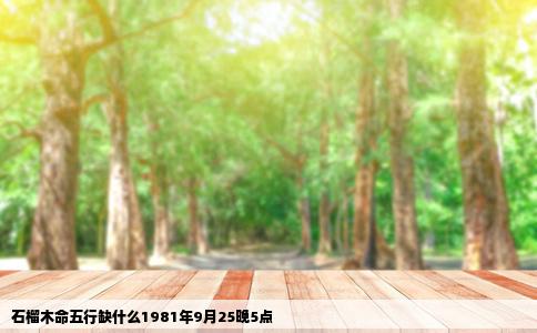 石榴木命五行缺什么1981年9月25晚5点