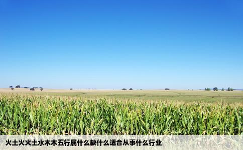 火土火火土水木木五行属什么缺什么适合从事什么行业