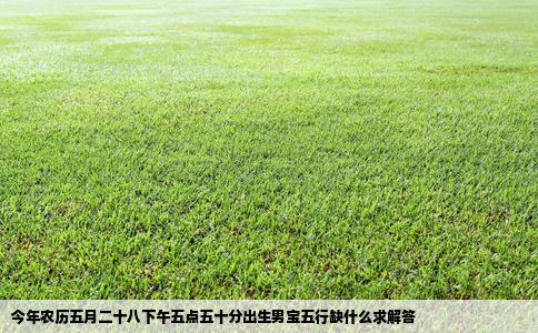 今年农历五月二十八下午五点五十分出生男宝五行缺什么求解答
