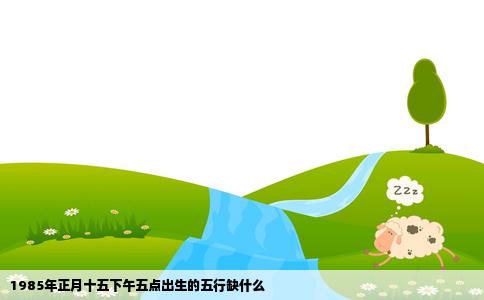 1985年正月十五下午五点出生的五行缺什么