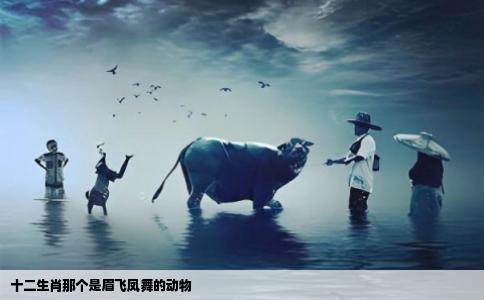 十二生肖那个是眉飞凤舞的动物
