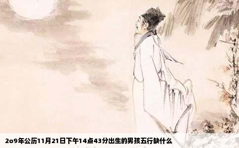 2o9年公历11月21日下午14点43分出生的男孩五行缺什么