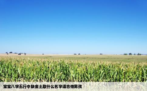 宝宝八字五行中缺金土取什么名字适合他男孩