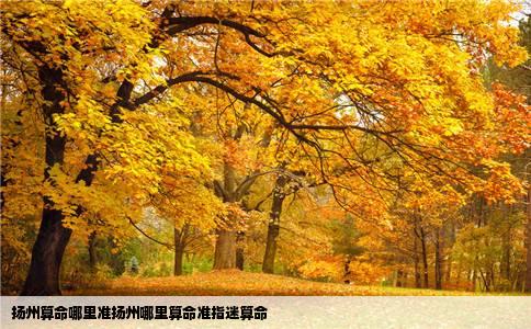 扬州算命哪里准扬州哪里算命准指迷算命