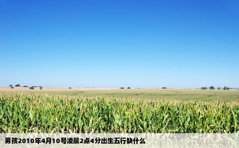 男孩2010年4月10号凌晨2点4分出生五行缺什么