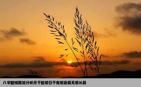 八字断格局如分析月干能帮日干有帮身弱无帮从弱