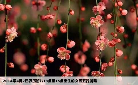 2014年4月7日农历初八13点至15点出生的女孩五行属啥