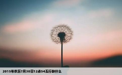 2015年农历7月30日12点54五行缺什么