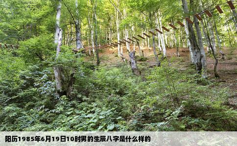 阳历1985年6月19日10时男的生辰八字是什么样的