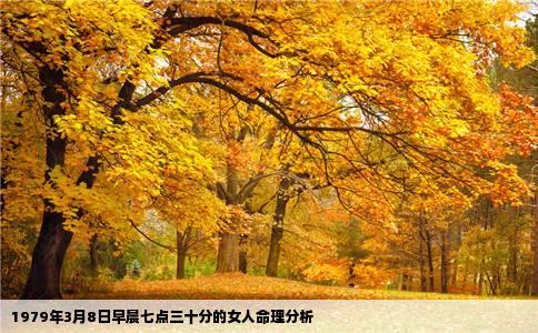 1979年3月8日早晨七点三十分的女人命理分析