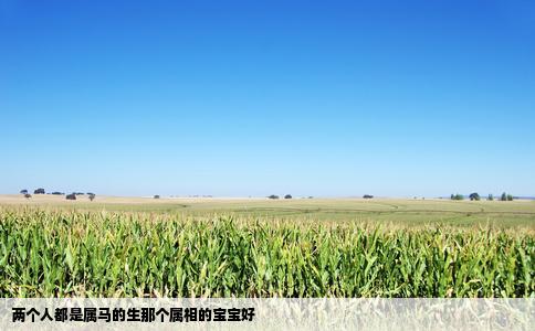 两个人都是属马的生那个属相的宝宝好