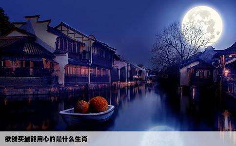 欲钱买最能用心的是什么生肖