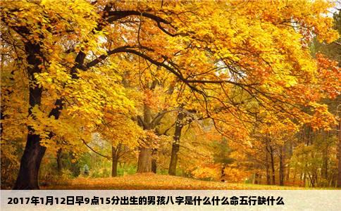 2017年1月12日早9点15分出生的男孩八字是什么什么命五行缺什么