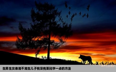 生男生女表准不准生儿子有没有更科学一点的方法