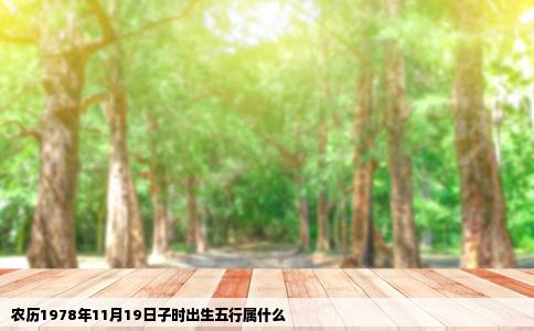 农历1978年11月19日子时出生五行属什么