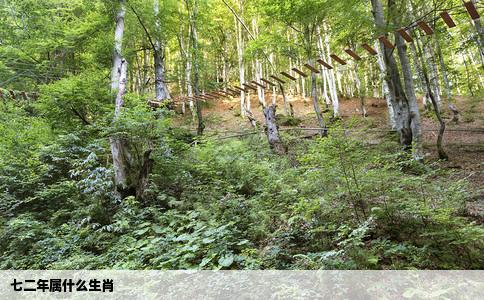 七二年属什么生肖
