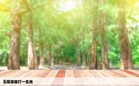 五福来临打一生肖