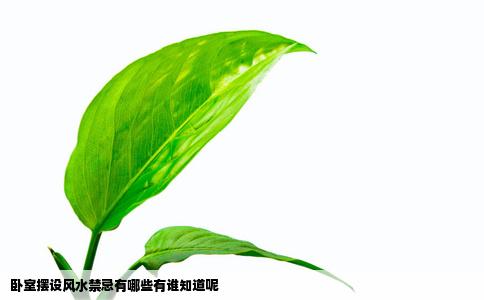 卧室摆设风水禁忌有哪些有谁知道呢