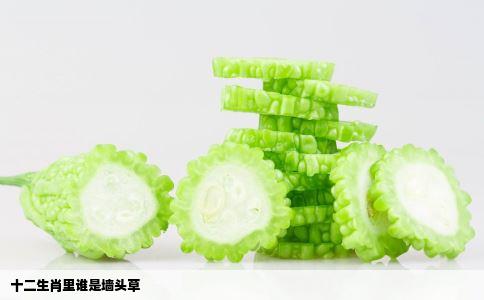 十二生肖里谁是墙头草