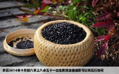 农历2014年十月初八早上八点五十一出生男孩连侯逸辰可以吗五行如何