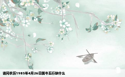请问农历1985年4月26日属牛五行缺什么