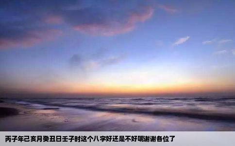 丙子年己亥月癸丑日壬子时这个八字好还是不好呢谢谢各位了