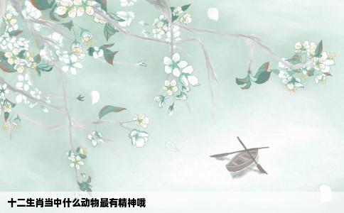 十二生肖当中什么动物最有精神哦