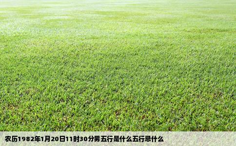 农历1982年1月20日11时30分男五行是什么五行忌什么