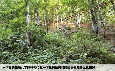 一下我的生辰八字咋样帮忙算一下我的运势和婚姻我佩戴什么比较好