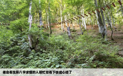 谁会看生辰八字求懂的人帮忙给看下快成心结了