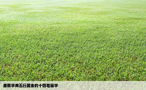 康熙字典五行属金的十四笔画字