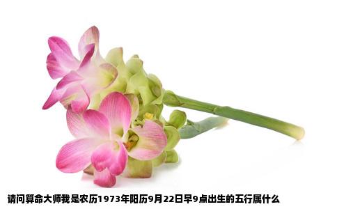 请问算命大师我是农历1973年阳历9月22日早9点出生的五行属什么