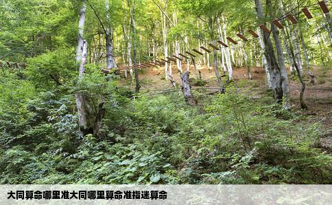 大同算命哪里准大同哪里算命准指迷算命