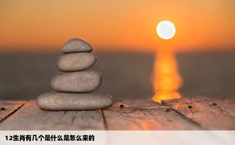 12生肖有几个是什么是怎么来的