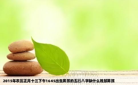 2015年农历正月十三下午1645出生男孩的五行八字缺什么姓邹男孩
