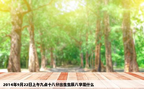2014年9月22日上午九点十八分出生生辰八字是什么