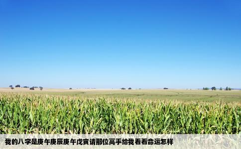 我的八字是庚午庚辰庚午戊寅请那位高手给我看看命运怎样