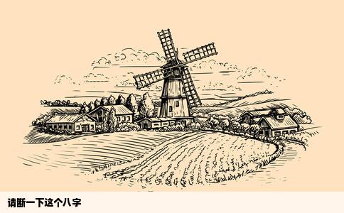 请断一下这个八字
