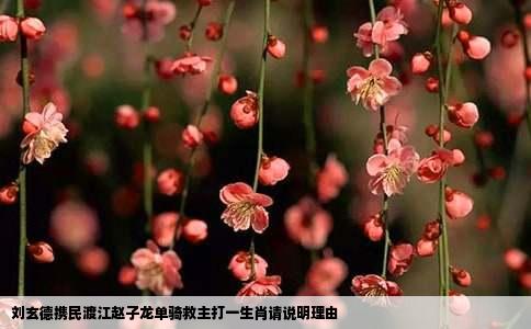 刘玄德携民渡江赵子龙单骑救主打一生肖请说明理由