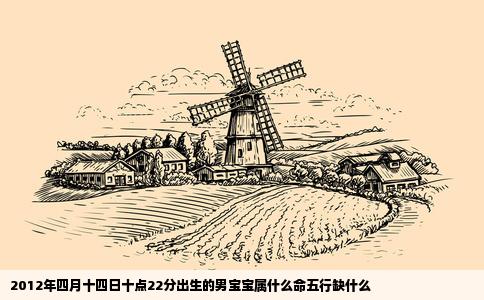 2012年四月十四日十点22分出生的男宝宝属什么命五行缺什么