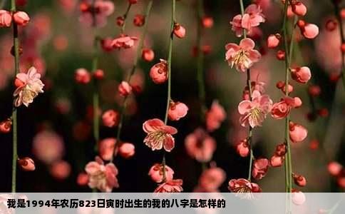 我是1994年农历823日寅时出生的我的八字是怎样的