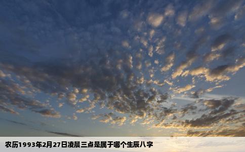 农历1993年2月27日凌晨三点是属于哪个生辰八字